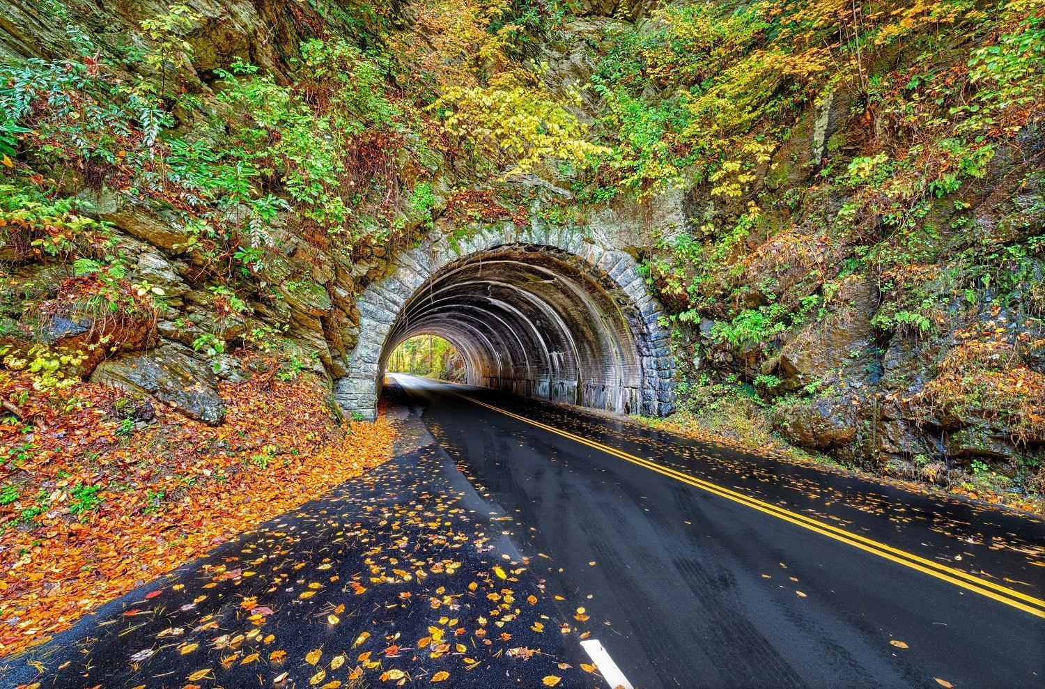 The Mason Jar, Hot Tub, Wifi, 1089 Free Tickets Each Paid Day, Dollywood And More! بيدجن فورج المظهر الخارجي الصورة